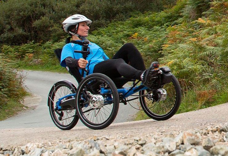 e-assist-Ice Steps 1600