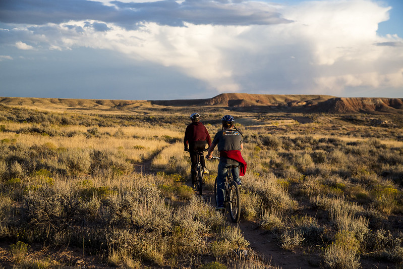 Two adults cycling in casual clothes on bicycles across moorland in the sunlight one evening.